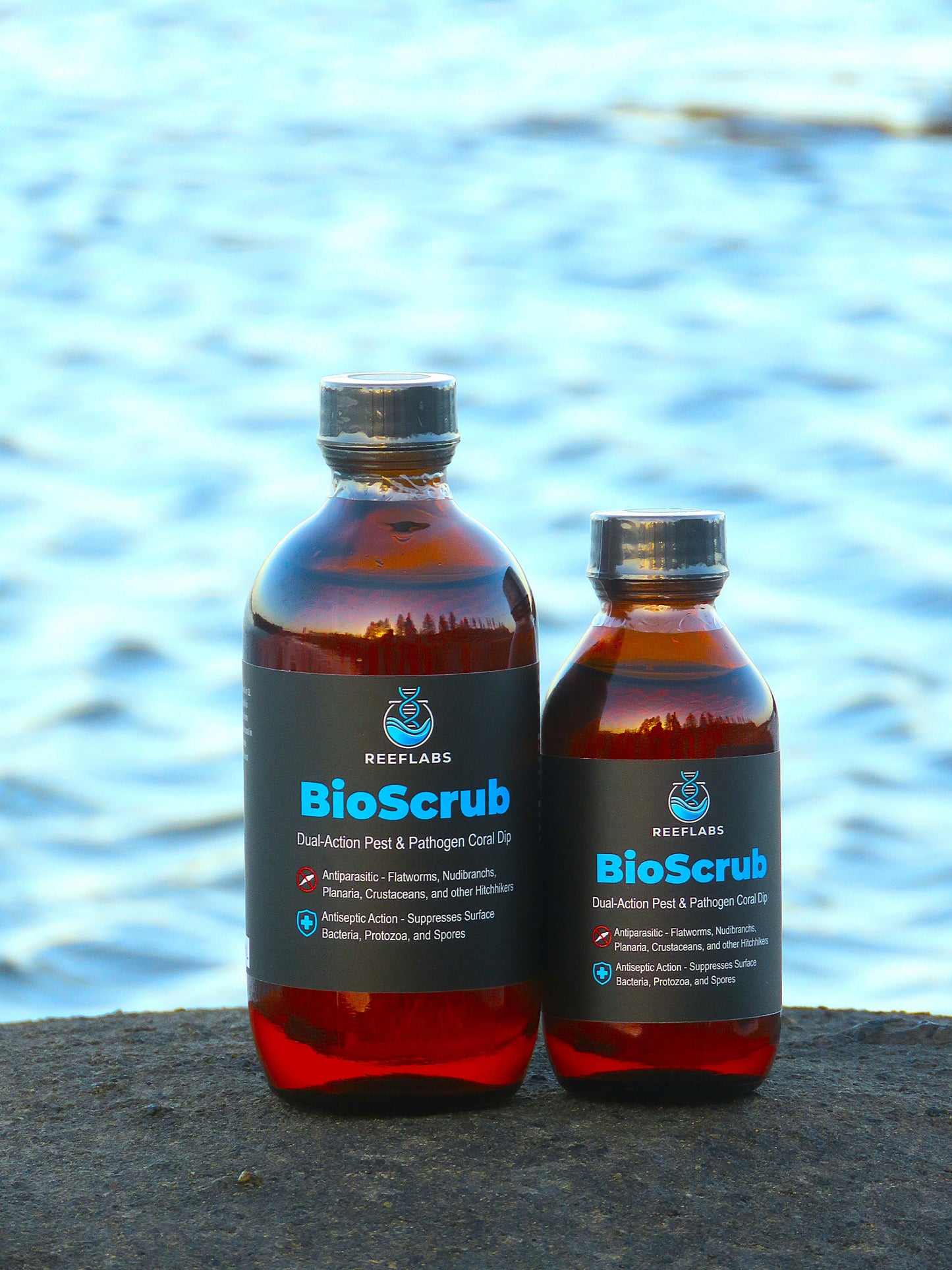 REEFLABS BioScrub