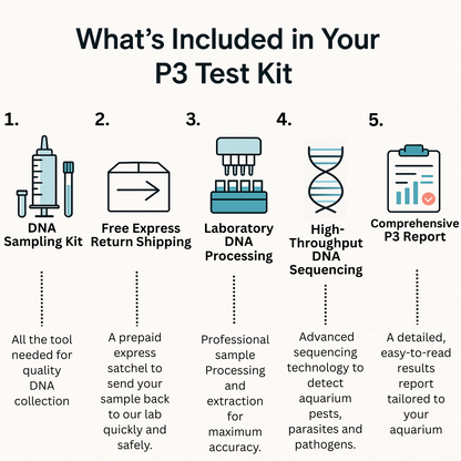 P3 Test Kit
