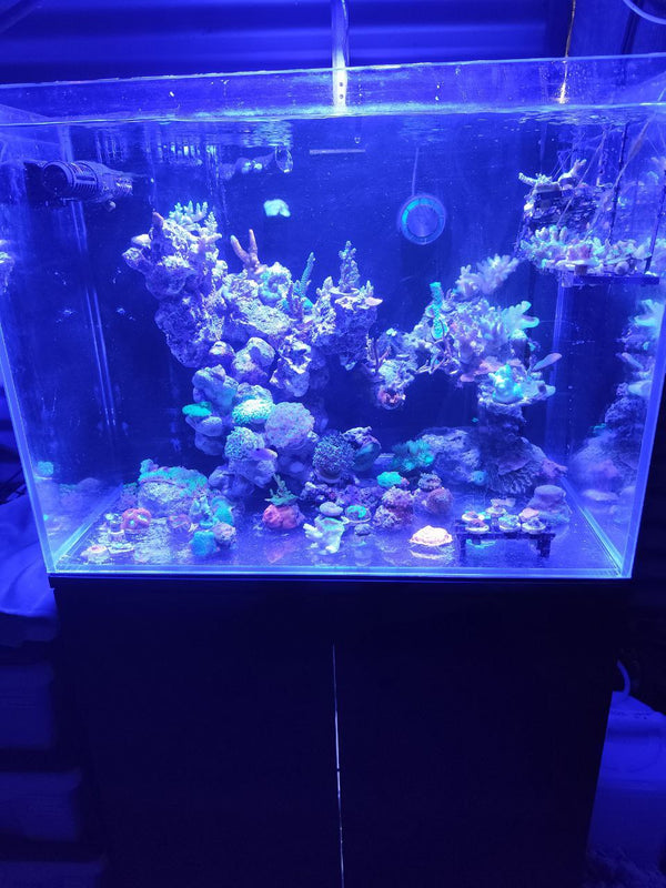 Review photo by Adam R.