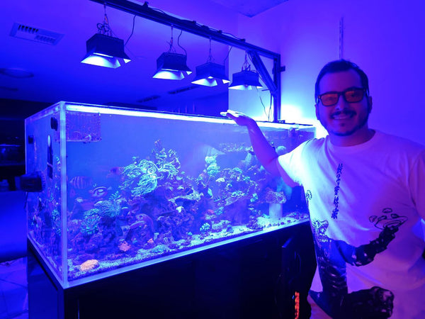 Review photo by Raphael R.